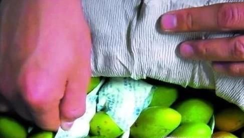 如何快速捂熟芒果？