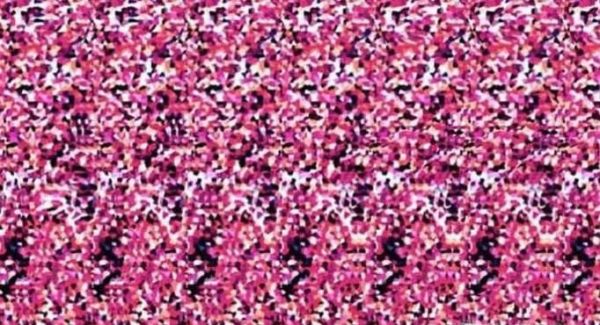 如何看三维立体图 3D图片应该怎么看