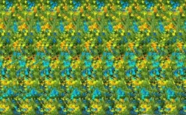 如何看三维立体图 3D图片应该怎么看