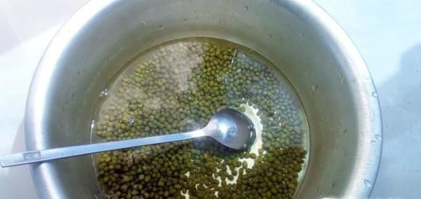 2天怎么泡绿豆发芽