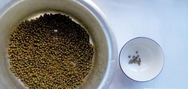 2天怎么泡绿豆发芽