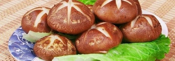 香菇发黑了能吃吗