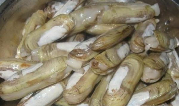 蛏子怎么清洗干净？