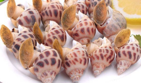 花螺全身都可以吃吗