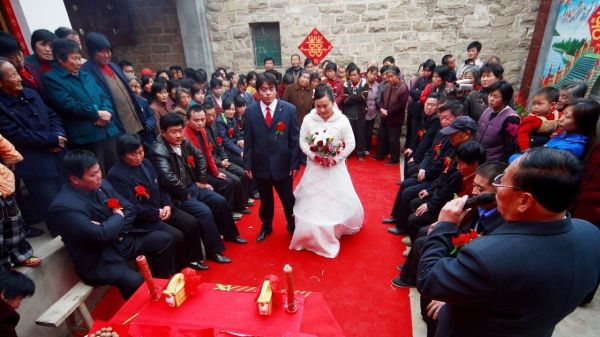 万紫千红一片绿是多少钱?