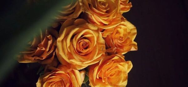 金婚银婚是多少年？