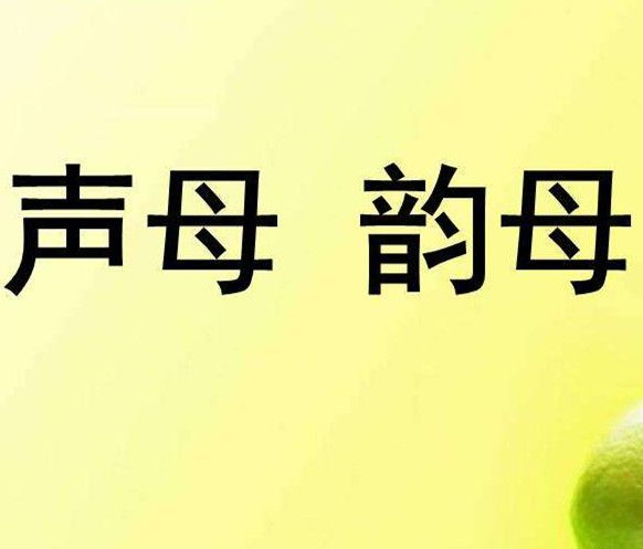 声母和韵母各有多少个啊?