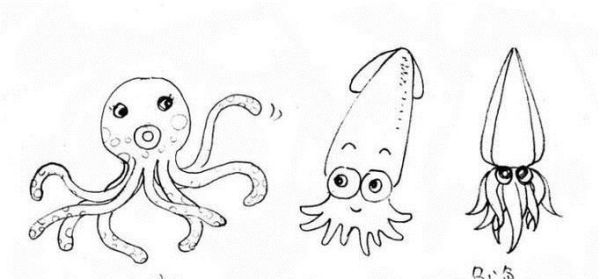 如何辨别鱿鱼、章鱼和乌贼