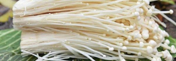 金针菇冻了能吃吗