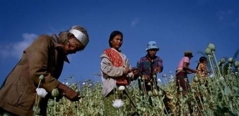 金三角指哪三个国家？