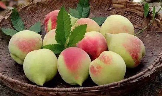 桃能和葡萄一起吃吗