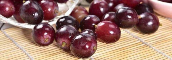 桃能和葡萄一起吃吗