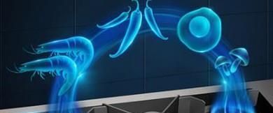 燃气灶打不着火了怎么办？