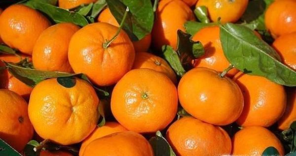 给爱吃水果的你一份水果应季时令表