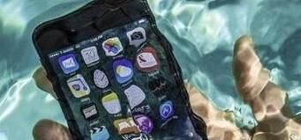 手机进水怎么处理?