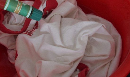 芒果水滴在衣服上怎么洗