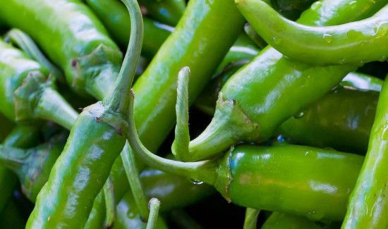 青椒包饺子用焯水吗