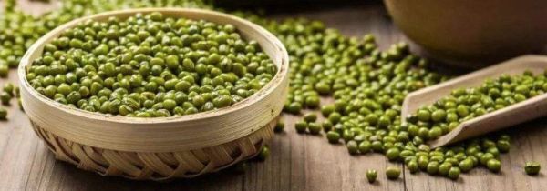 绿豆不能跟什么一起吃吗
