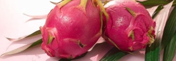 火龙果外皮发了点霉还能不能吃