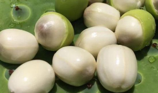 新鲜的莲子可以直接吃吗