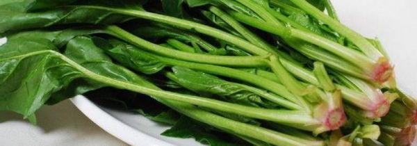 菠菜汁怎么榨汁