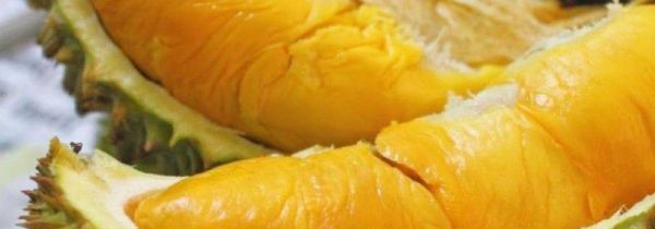 榴莲开了合上去还会熟吗