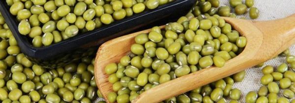 生绿豆能吃吗