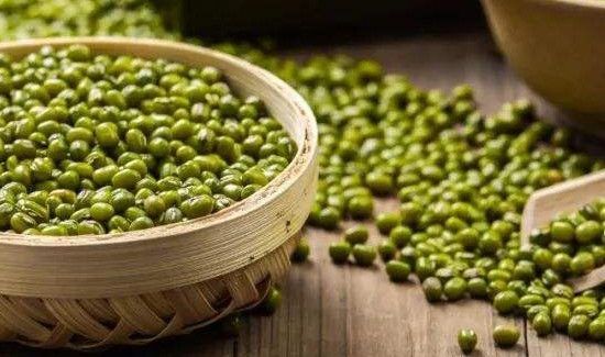 生绿豆能吃吗