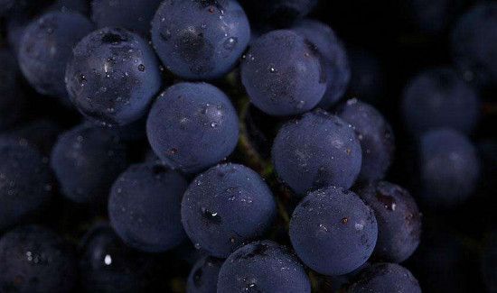 葡萄水滴在衣服上怎样洗才能洗掉?