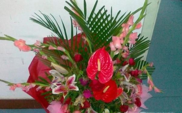 看望病人应送什么花