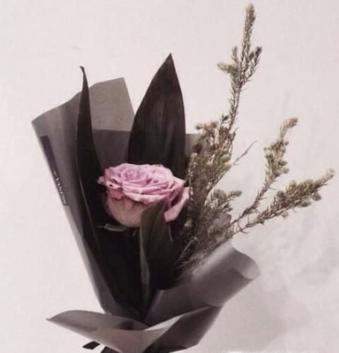 看望病人应送什么花