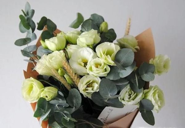 看望病人应送什么花