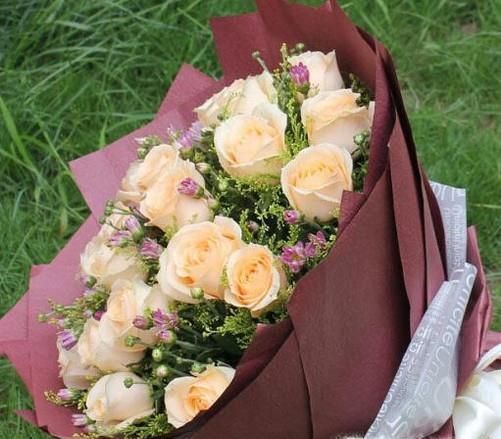 看望病人应送什么花