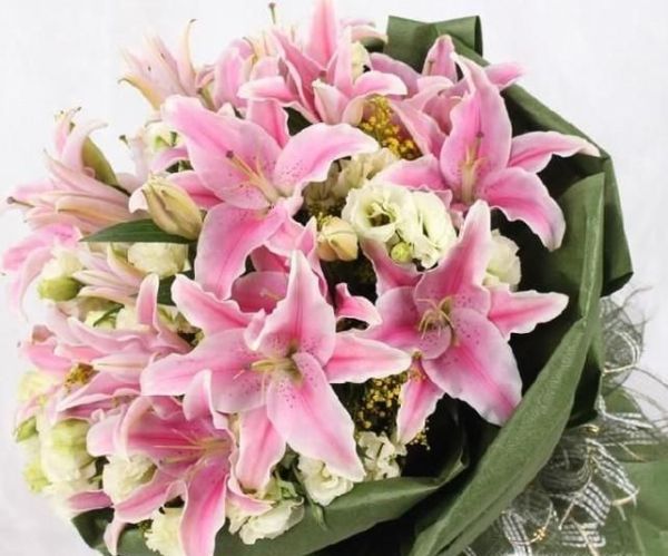 看望病人应送什么花