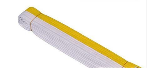 怎样理解跆拳道色带的级别和含义