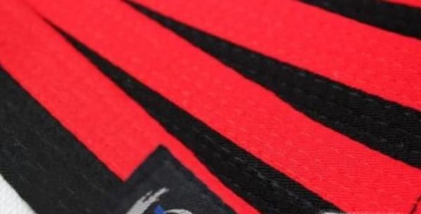 怎样理解跆拳道色带的级别和含义