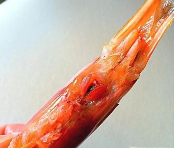 怎样处理虾的详解方法