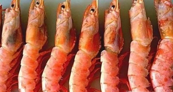 怎样处理虾的详解方法