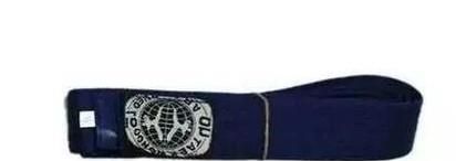 怎样理解跆拳道色带的级别和含义