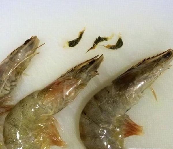 怎样处理虾的详解方法