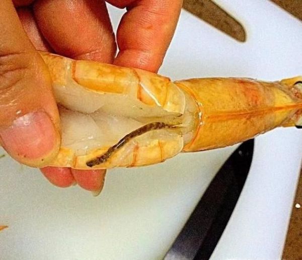怎样处理虾的详解方法