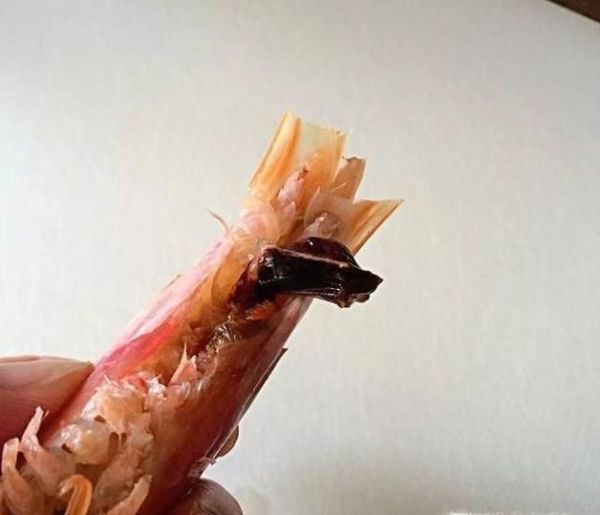 怎样处理虾的详解方法