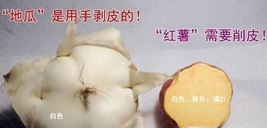 地瓜与红薯是一样的吗，如何区分与食用？