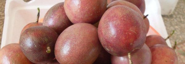 百香果壳可以泡水喝吗