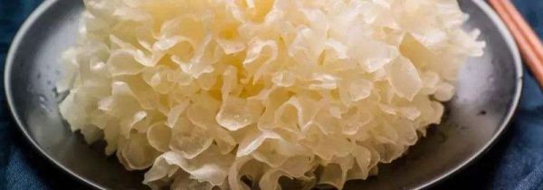 绿豆和银耳可以一起煮吗