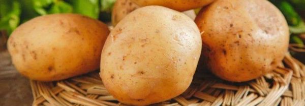 土豆皮绿了还能吃吗