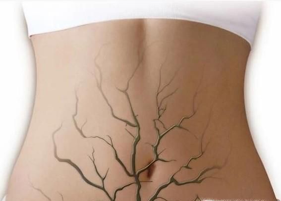 人体五脏六腑的排毒时间表