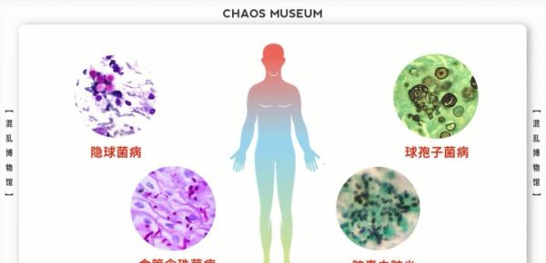 人类体温为何是37摄氏度？