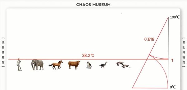 人类体温为何是37摄氏度？