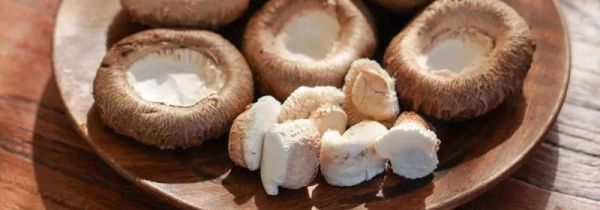 湿香菇放冰箱能保存多久